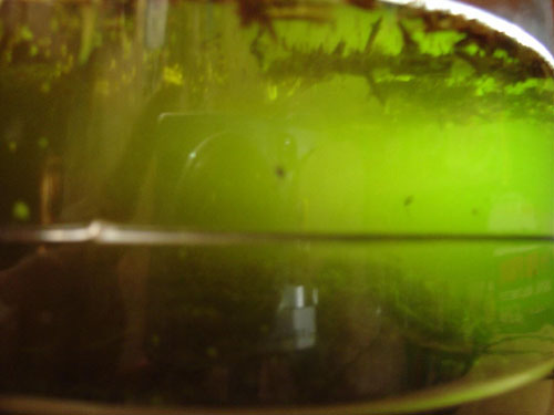 Фото Dark_Blue_Absinth-Opium