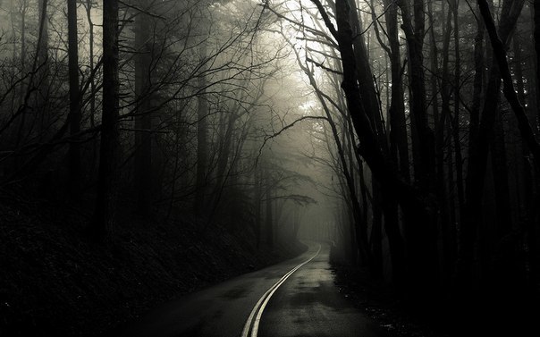 Фото Alice_Fler