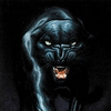 Фото BlackAce