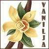 Vanilja