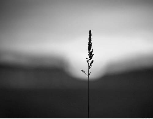 Фото lilita555