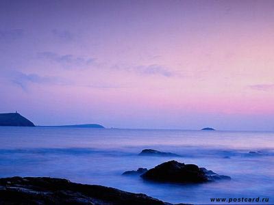 Фото Donna