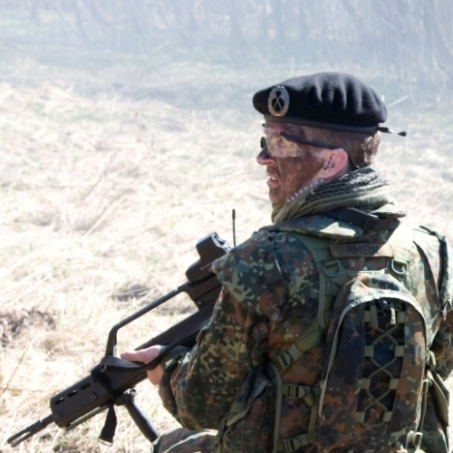 G36