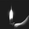 BlackButterfly